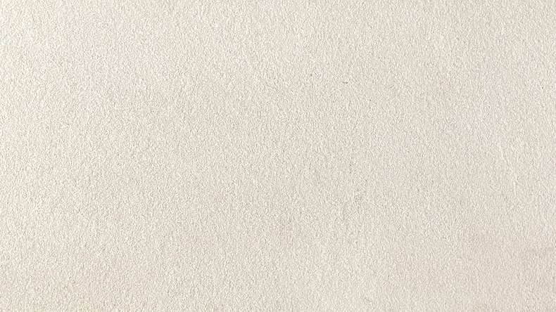 planeo EVOLITH Slate&Stone - Naturstein Wandverkleidung White Core 1220 x 610 mm