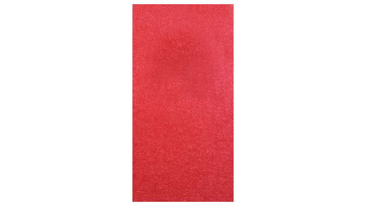planeo Akustik Filzpaneel - MixWall EcoColor Line Red Fox 52 x 104 cm (PLMW-00021B)