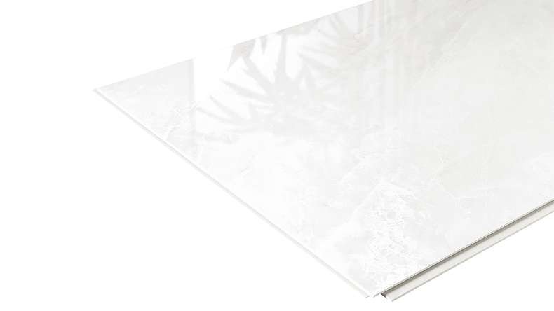 planeo StrongWall - Wandverkleidung Kunststoff Evo 65 x 37,5 cm Hochglanz