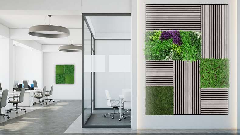 planeo Akustikpaneel - MixWall Timber Solid Althea Oak 52 x 52 cm | Echtholzfurnier MDF (PLMW-10311C)