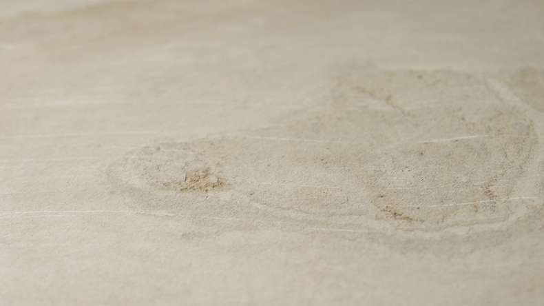 planeo EVOLITH Slate&Stone - Naturstein Wandverkleidung Siena Dust 1220 x 610 mm
