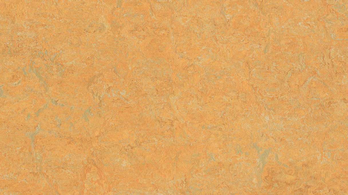 Forbo Linoleum Marmoleum Real - golden saffron 3847 - 2.5mm