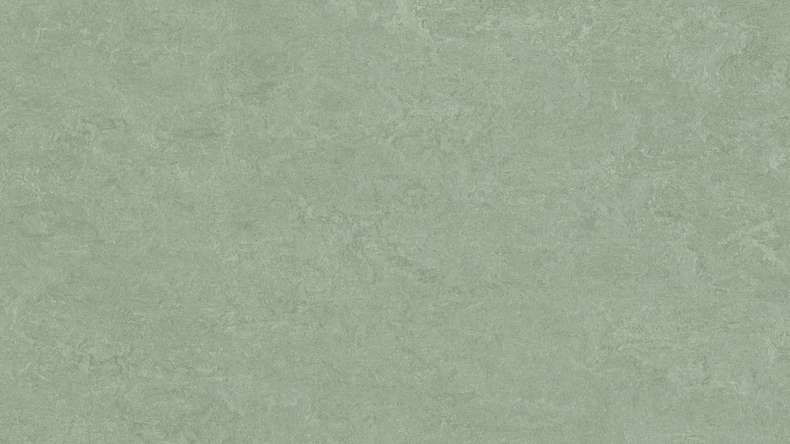 Forbo Linoleum Marmoleum Fresco - sage 3891-2.5