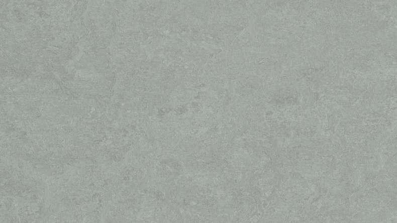 Forbo Linoleum Marmoleum Fresco - cinder 3889-2.5