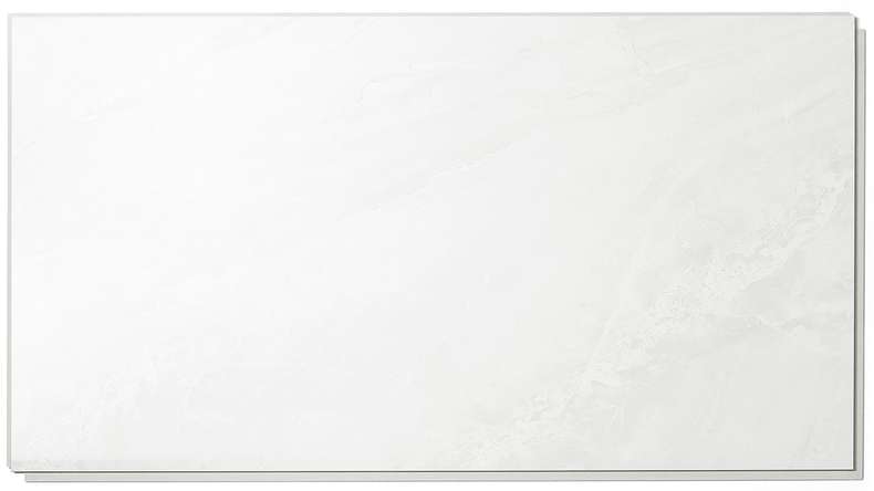 planeo StrongWall - Wandverkleidung Kunststoff Evo 65 x 37,5 cm Hochglanz