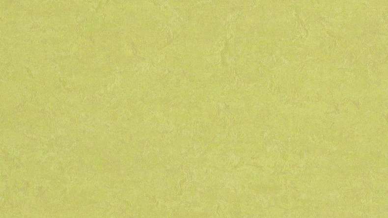 Forbo Linoleum Marmoleum Fresco - spring buds 3885-2.5