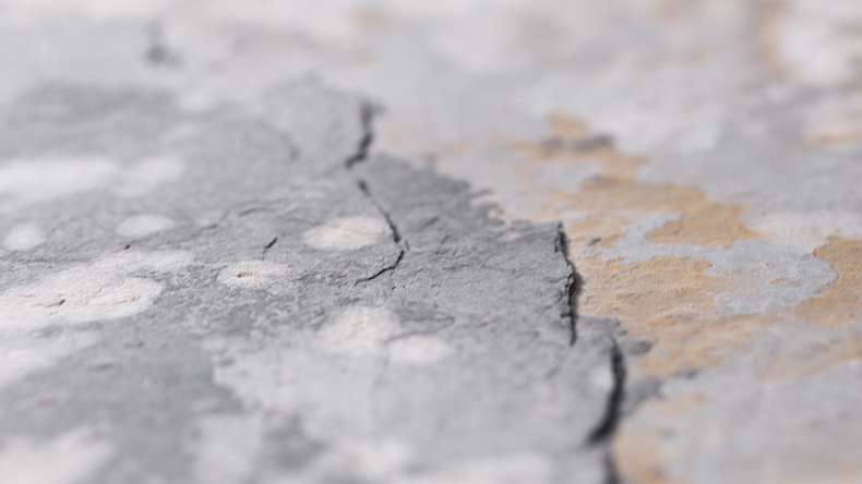 planeo EVOLITH Slate&Stone - Naturstein Wandverkleidung Terracrust 1220 x 610 mm