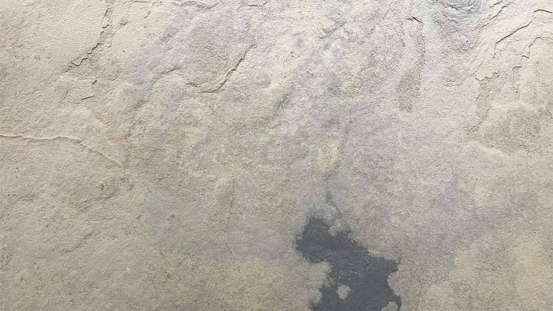 planeo EVOLITH Slate&Stone - Naturstein Wandverkleidung Siena Dust 1220 x 610 mm