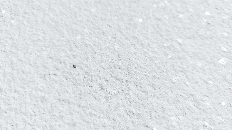 planeo EVOLITH Slate&Stone - Naturstein Wandverkleidung Crystal White 1220 x 610 mm
