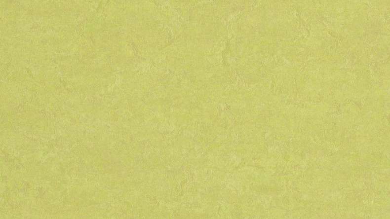 Forbo Linoleum Marmoleum Klick - Spring buds - 333885