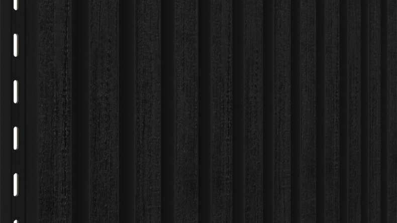 planeo LINEA Slim - WPC CoEx Fassadenverkleidung Schwarz 2900 x 215 mm