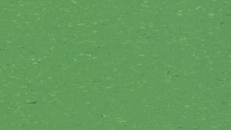 Forbo Linoleum Marmoleum Uni Piano - nettle green 3647-2.5