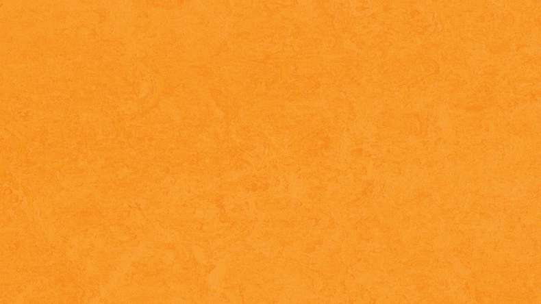 Forbo Linoleum Marmoleum Fresco - marigold 3262-2.5