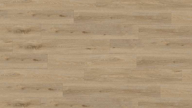 Gerflor Klick Vinyl Rigid - Creation 40 Clic Acoustic Aquinoah Nature | Trittschalldämmung integr. (61301707)
