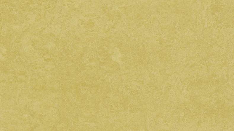Forbo Linoleum Marmoleum Fresco - mustard 3259-2.5