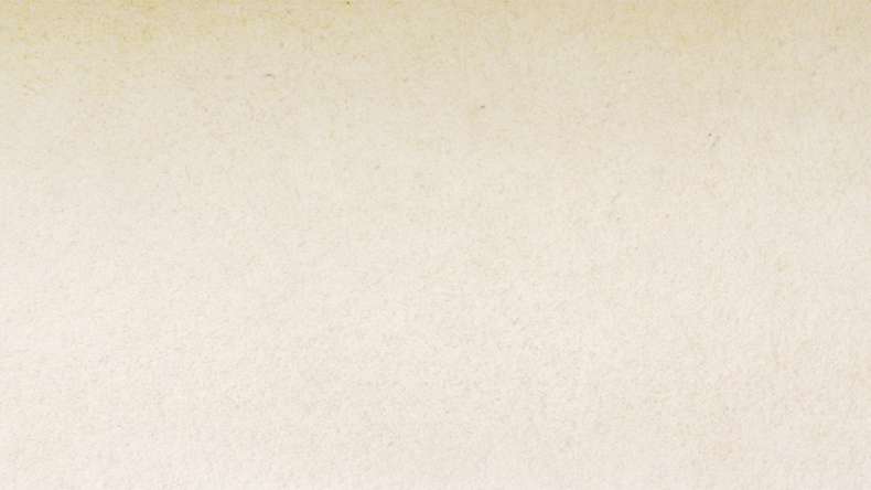 planeo EVOLITH Slate&Stone - Naturstein Wandverkleidung White Core 1220 x 610 mm