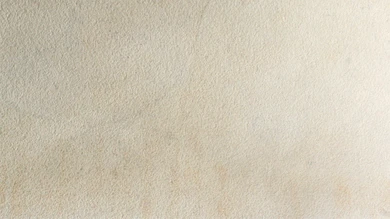 planeo EVOLITH Slate&Stone - Naturstein Wandverkleidung White Core 1220 x 610 mm