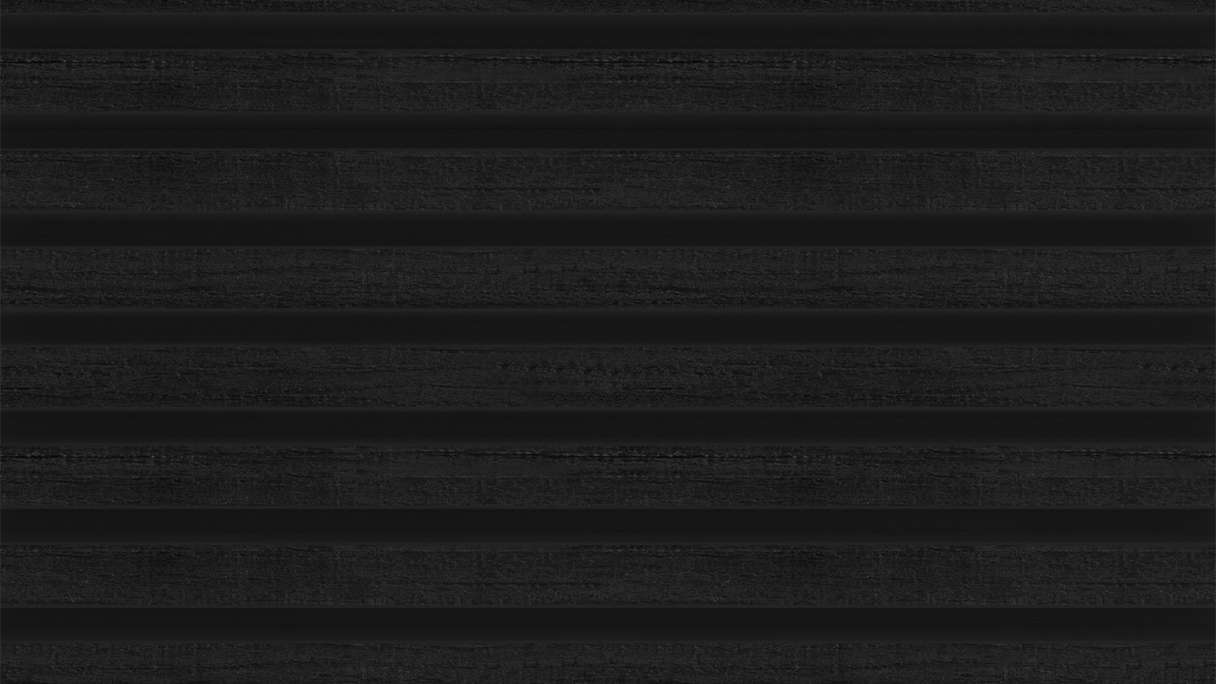 planeo LINEA Slim - WPC CoEx Fassadenverkleidung Schwarz 2900 x 215 mm