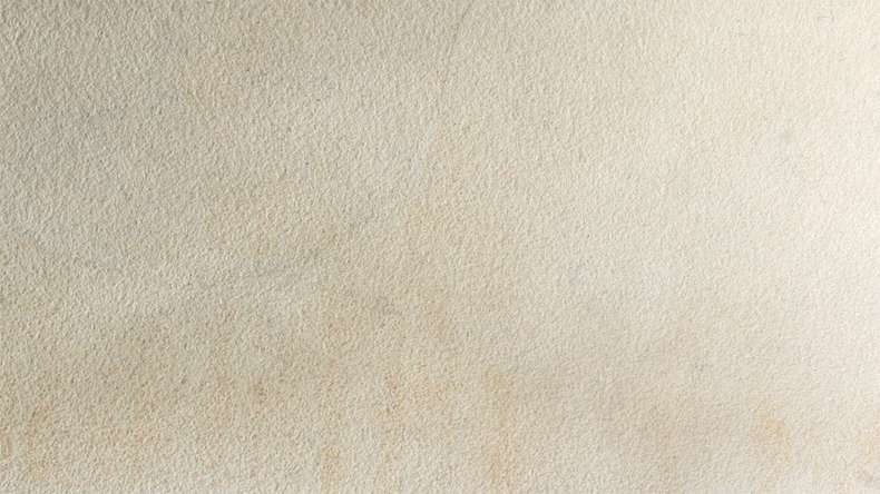 planeo EVOLITH Slate&Stone - Naturstein Wandverkleidung White Core 1220 x 610 mm