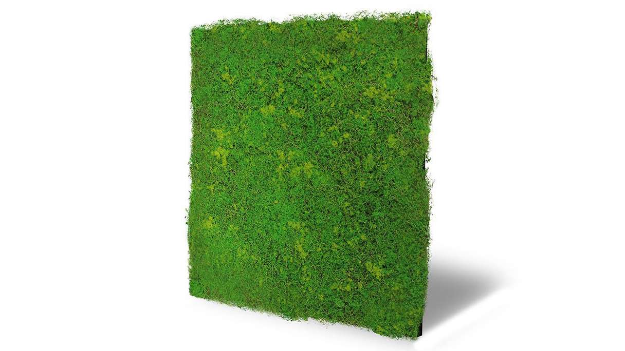 planeo Akustikpaneel - MixWall Moss Mood Light Green Fibre 52 x 52 cm | Kunst-Moos (PLMW-10211C)