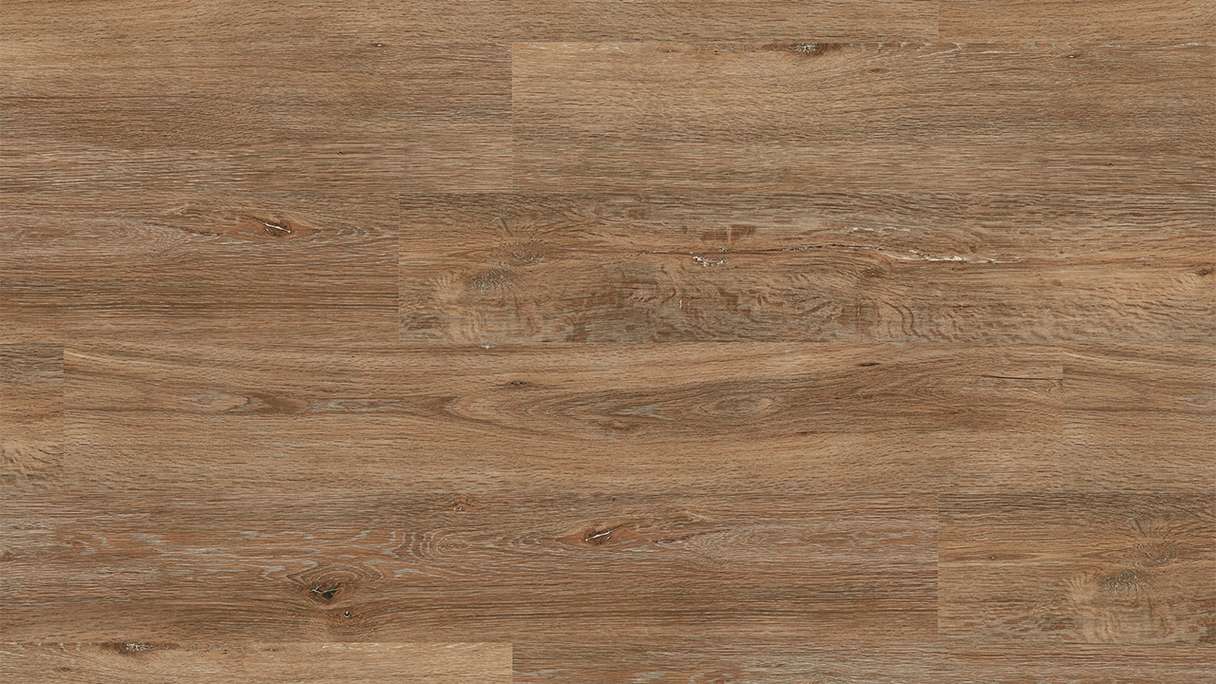 Project Floors Bioboden - ECO+ Collection ECO 3610/30 (ECO361030)