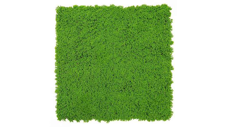 planeo Akustikpaneel - MixWall Moss Mood Lime Green 52 x 52 cm | Kunst-Moos (PLMW-30211C)