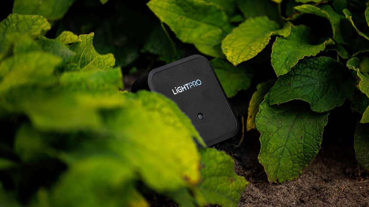 planeo Gartenbeleuchtung Switch Smart WiFi schwarz