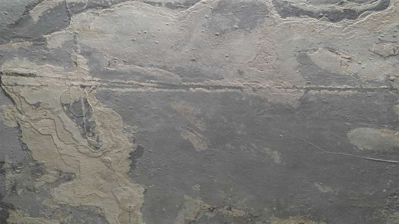 planeo EVOLITH Slate&Stone - Naturstein Wandverkleidung Terracrust 1220 x 610 mm