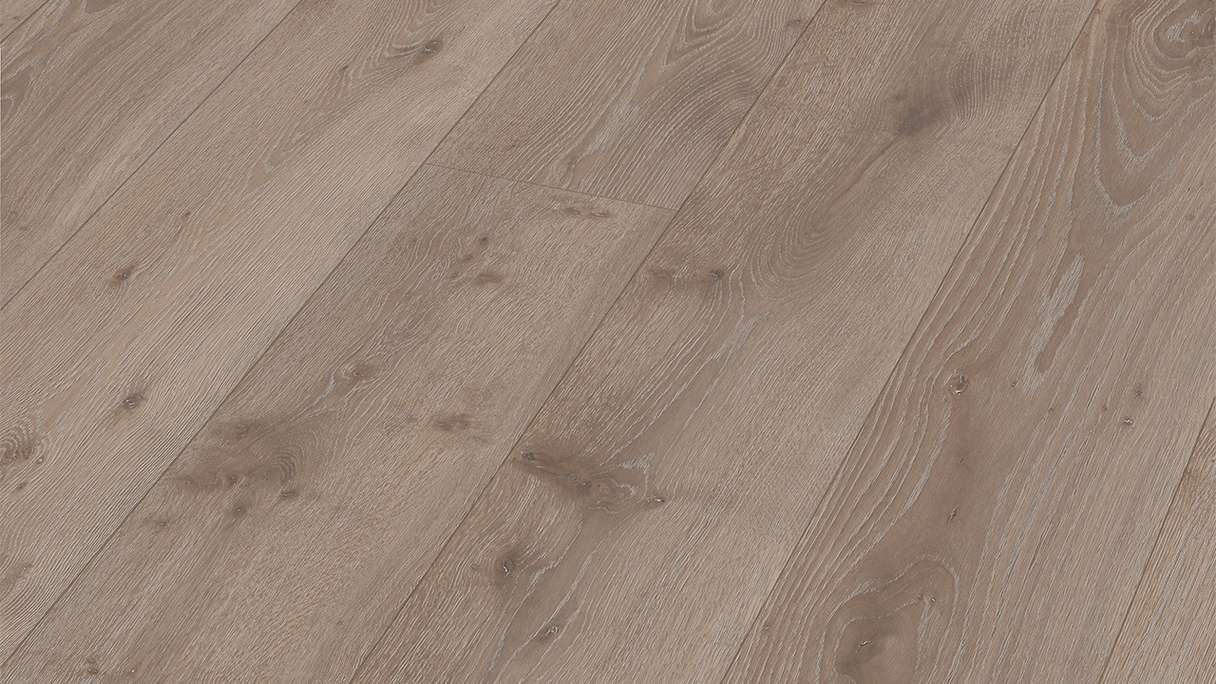 MEISTER Laminat - MeisterDesign LL 250 Bacheiche 07143 | Synchronprägung (600009-2052248-07143)