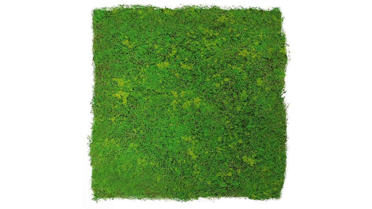 planeo Akustikpaneel - MixWall Moss Mood Light Green Fibre 52 x 52 cm | Kunst-Moos (PLMW-10211C)
