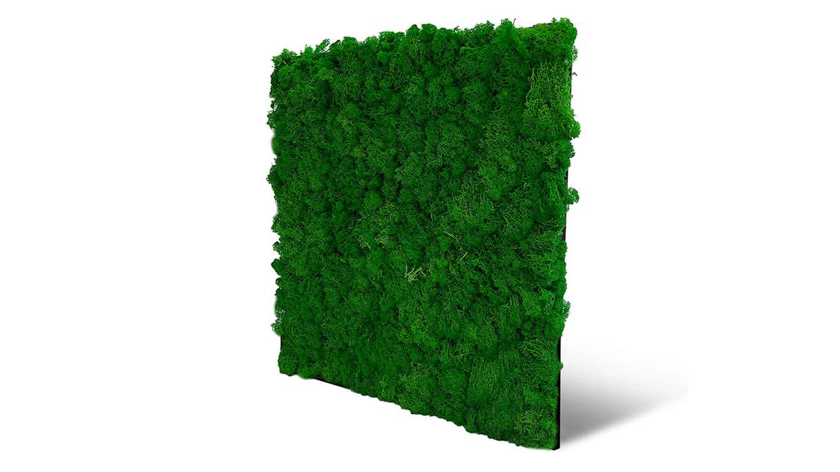 planeo Akustikpaneel - MixWall Living Moss Nature Green 52 x 52 cm | Natur-Moos (PLMW-00111)