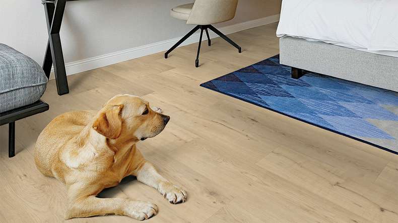 planeo Rigid Klick Vinyl - FlexCore 55 Misty Oak | Trittschalldämmung integr. (plfc-5023FS55)