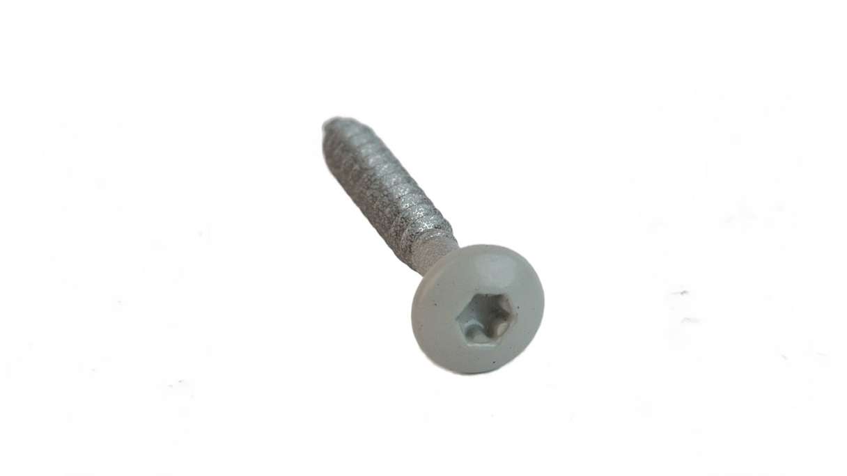 planeo Paneelschrauben - Grau 4.0 x 30 TX20 - 50 Stk
