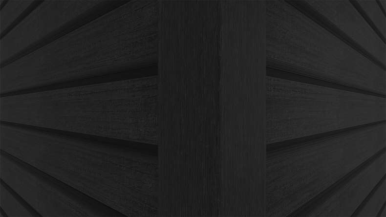 planeo LINEA Wide - WPC CoEx Fassadenverkleidung Schwarz 2900 x 181 mm