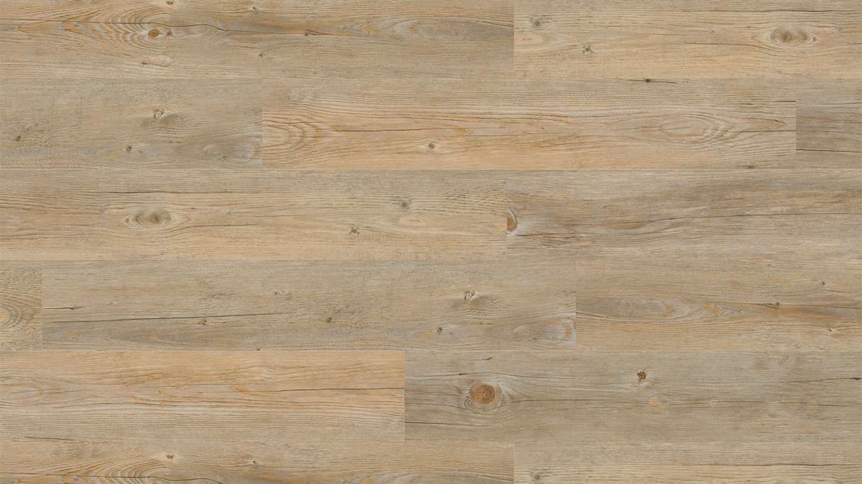 Project Floors Bioboden - ECO+ Collection ECO 3020/30 (ECO302030)