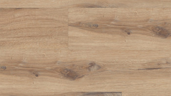 Gerflor Klick Vinyl - Virtuo 30 Rigid Acoustic Daintree Honey | Trittschalldämmung integr. (39141455)