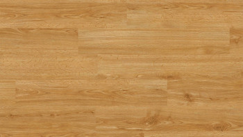 Project Floors Bioboden - ECO+ Collection ECO 1231/30 (ECO123130)