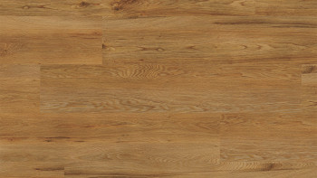 Project Floors Bioboden - ECO+ Collection ECO 3841/30 (ECO384130)