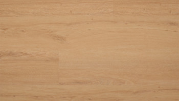 planeo Klick Vinyl - Rigid Eiche Appenzell IXPE | Synchronprägung (MF-1164-IXPE)