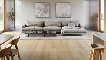 planeo Rigid Klick Vinyl - SMARTline Pure Oak | Trittschalldämmung integr. (NF-SL-585)