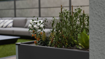 planeo BPC Hochbeet Cube - Anthrazit | DB703 70 x 70 x 75 cm