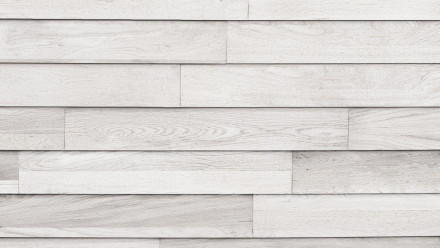 Wandverkleidung Holz planeo Woodwall Easyfix - Eiche Weiß