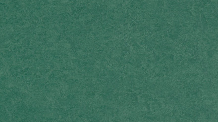 planeo Linoleum Fresco - hunter green 3271 2.5