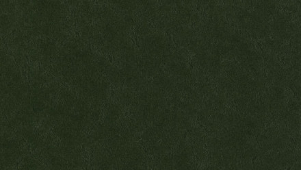Forbo Linoleum Marmoleum Walton - bottle green 3359