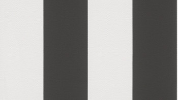 Vinyltapete Black & White 4 A.S. Création Modern Schwarz Weiß 213
