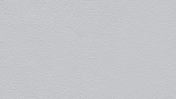 Vinyltapete grau Modern Klassisch Uni Flavour 012