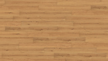 Wicanders Korkboden - Wood Essence Golden Prime Oak 11,5mm Kork - NPC versiegelt (D8F7001)
