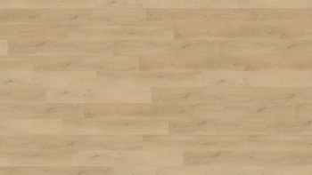 Wineo Klebevinyl - 400 wood L Plain Oak Beige | Synchronprägung (DB281WL)