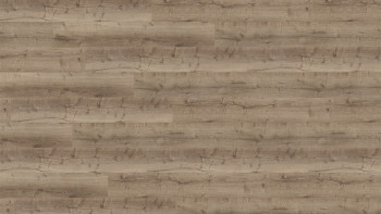 Wineo Rigid Klick Vinyl - 400 wood XL Comfort Oak Taupe | Trittschalldämmung integr. (RLC300WXL)