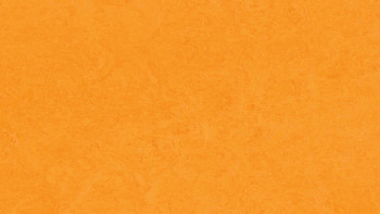 planeo Linoleum Fresco - marigold 3262